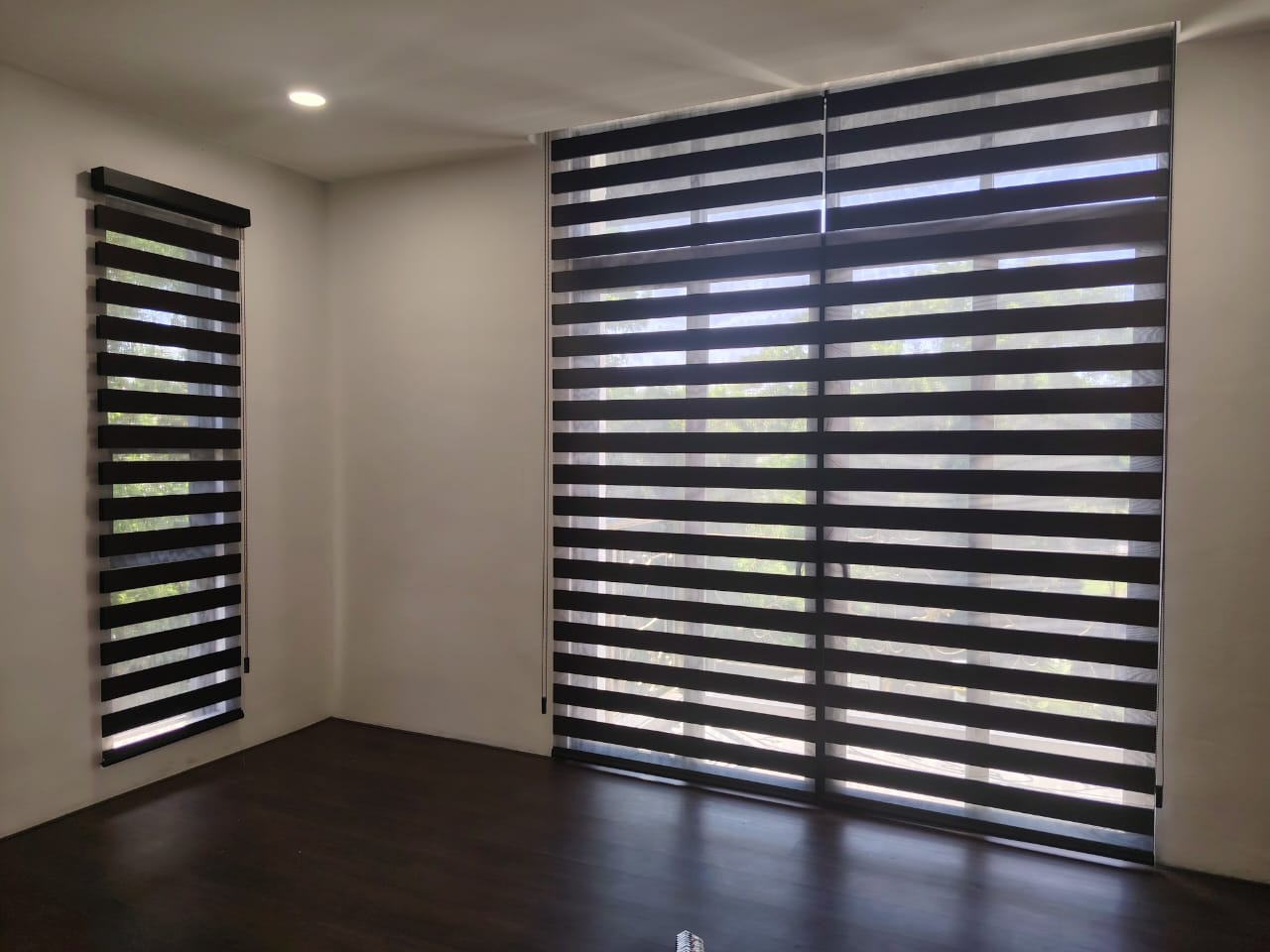 ZEBRA BLINDS